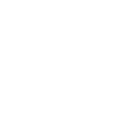 Icon for business values