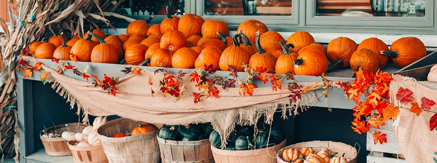 Pumpkins and squash and at a market