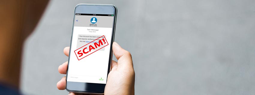 Person holding a phone with a scam message