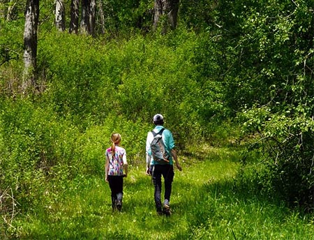 PEople walking in nature