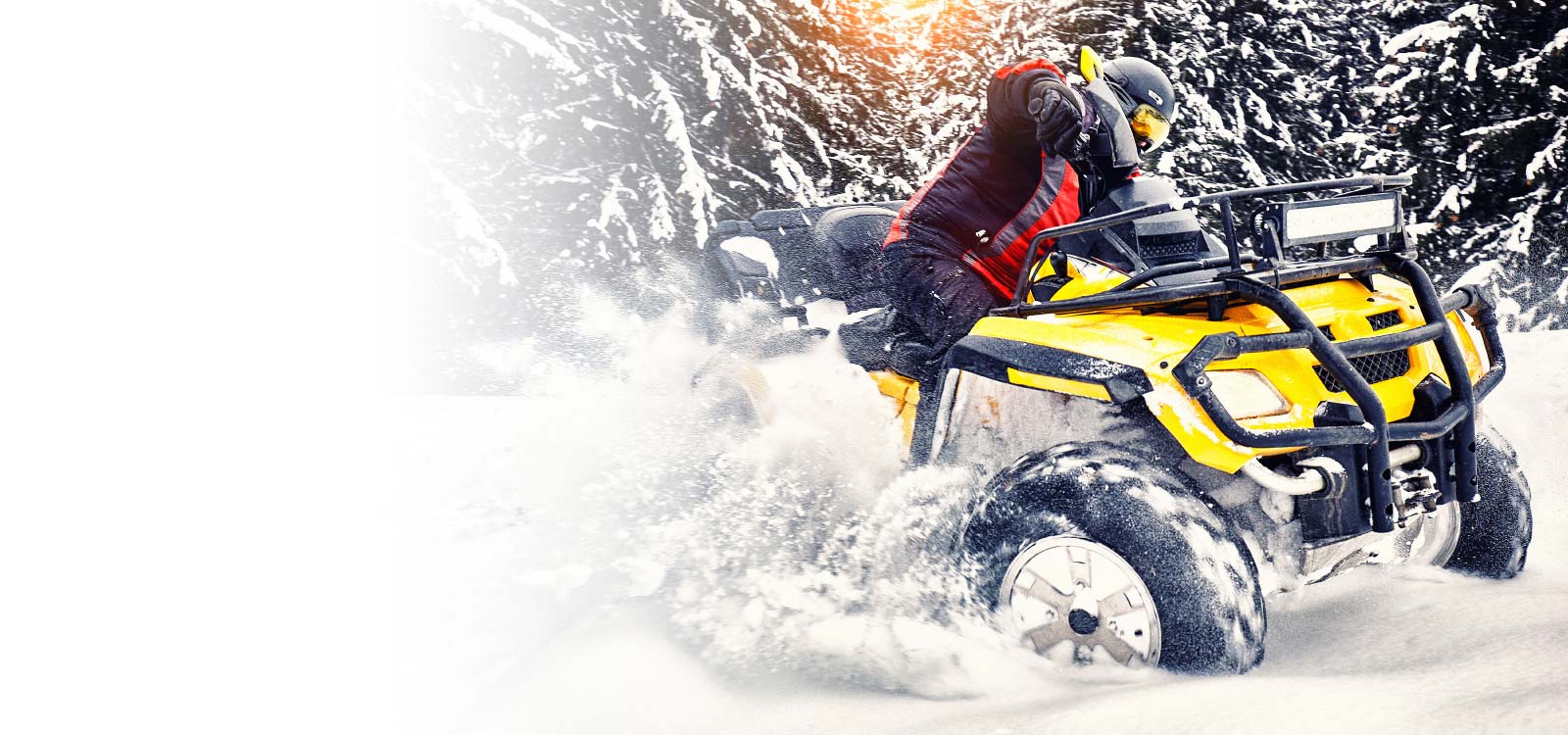 Winter Toy Image ATV rider in the snow