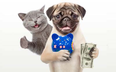 Pets holding money