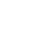 icon-business-fast