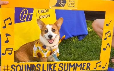 Photo of a dog at an event