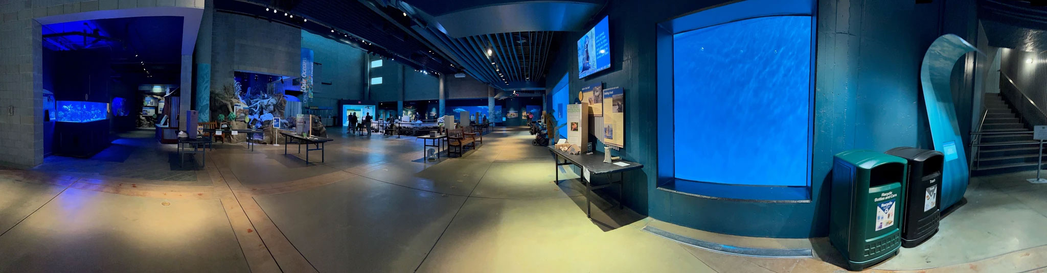 Panoramic view of Sea Lion Discovery