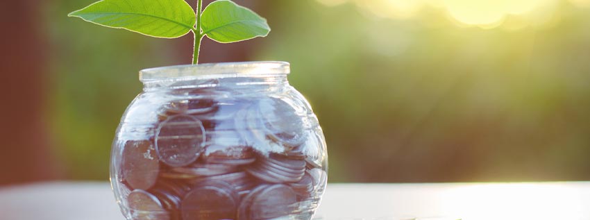 Money jar and growth