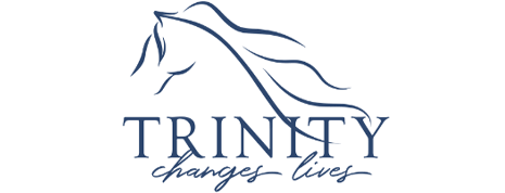 Logo for Trinity Organization