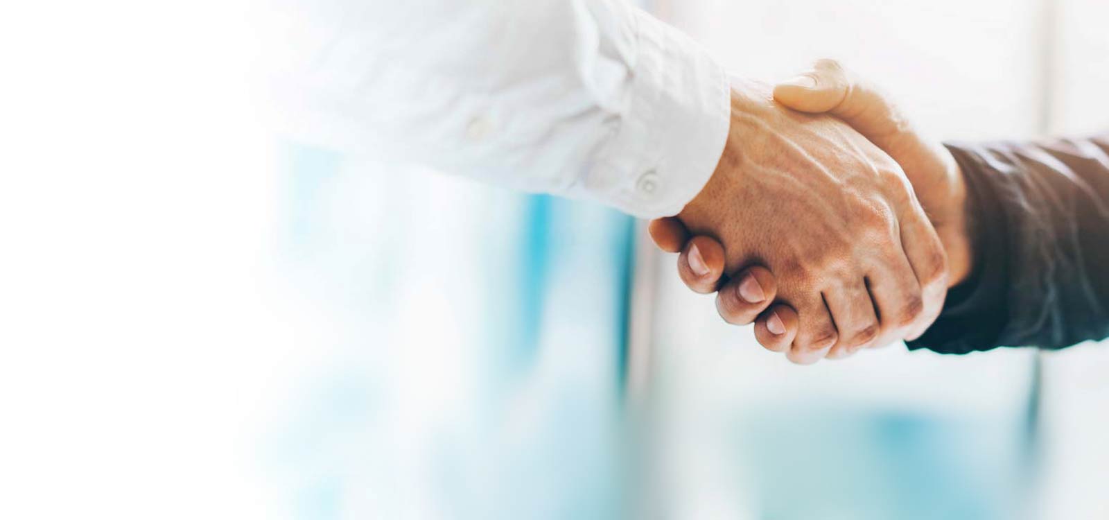 Two business people shaking hands